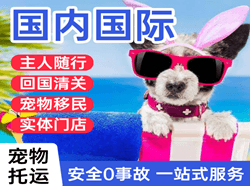 阿鲁科尔沁空运代理国际宠物托运 【国